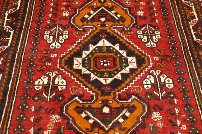 Shiraz - 4