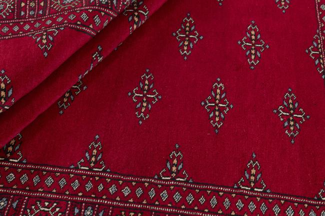 Pakistan Buchara 3ply - 2