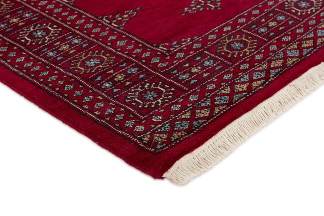 Pakistan Buchara 3ply - 3