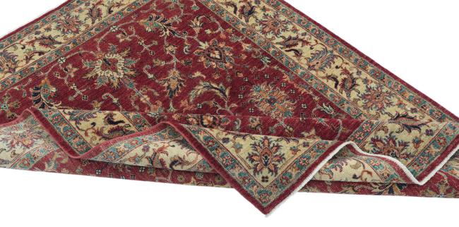 Ziegler Farahan - 5