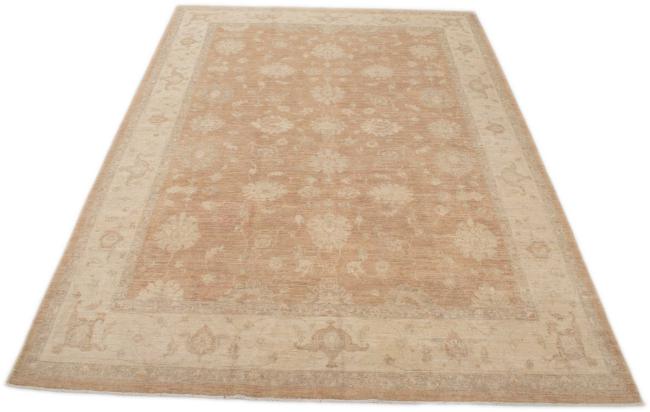 Ziegler Farahan - 3