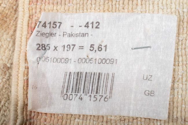 Ziegler Farahan - 7
