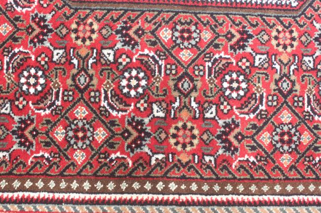 Indo Bidjar Super - 7