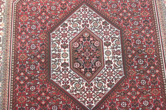 Indo Bidjar Super - 8