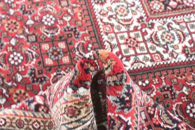 Indo Bidjar Super - 11