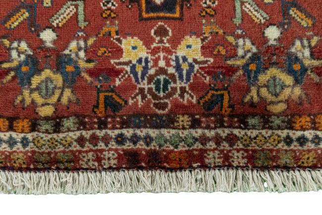 Shiraz - 7