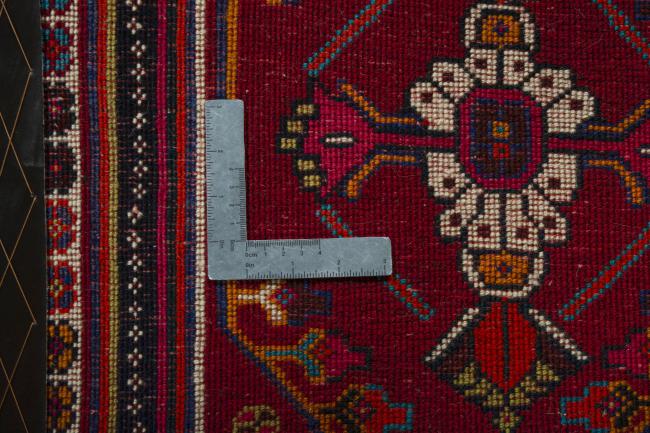 Shiraz - 4