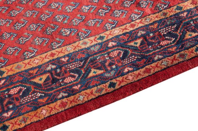 Sarough Mir Boteh - 4