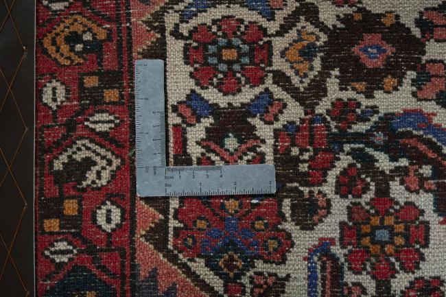 Shiraz - 4