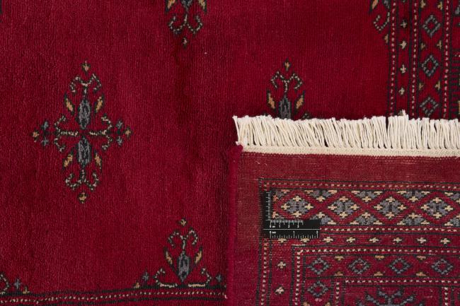Pakistan Buchara 3ply - 1