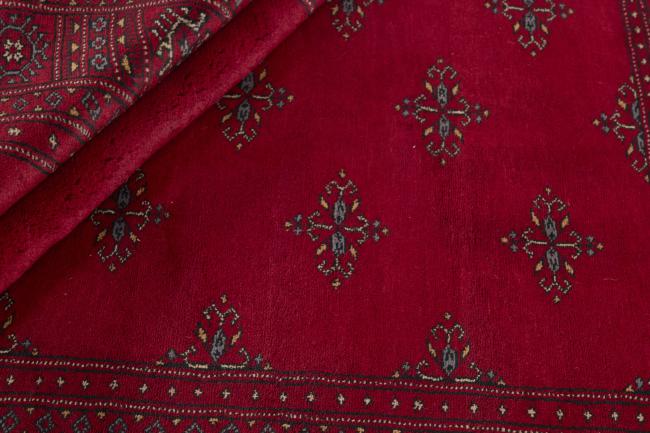 Pakistan Buchara 3ply - 2