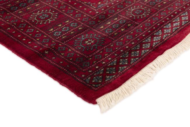 Pakistan Buchara 3ply - 3
