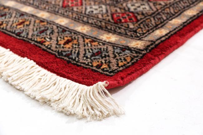 Pakistan Buchara 3ply - 4