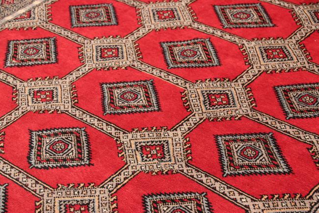 Pakistan Buchara 3ply - 6