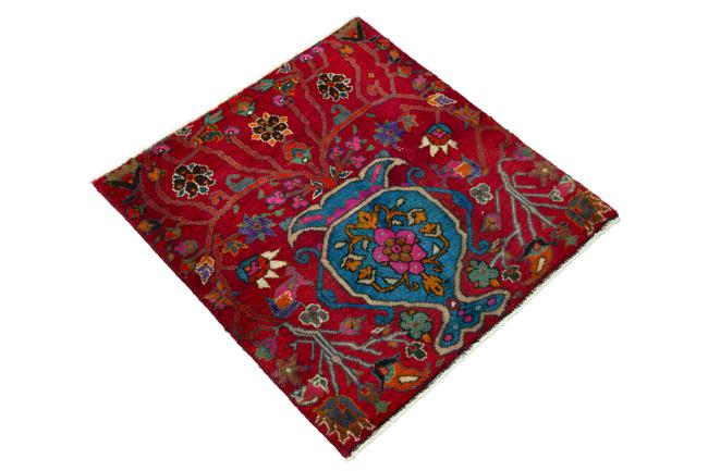 Shiraz - 2