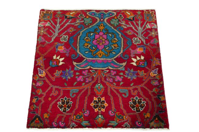 Shiraz - 3