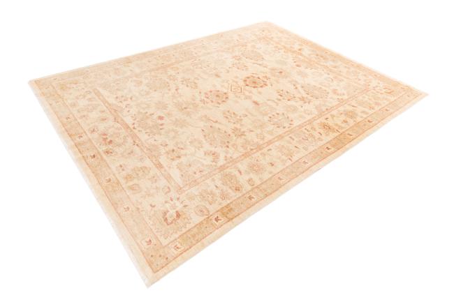 Ziegler Farahan - 2