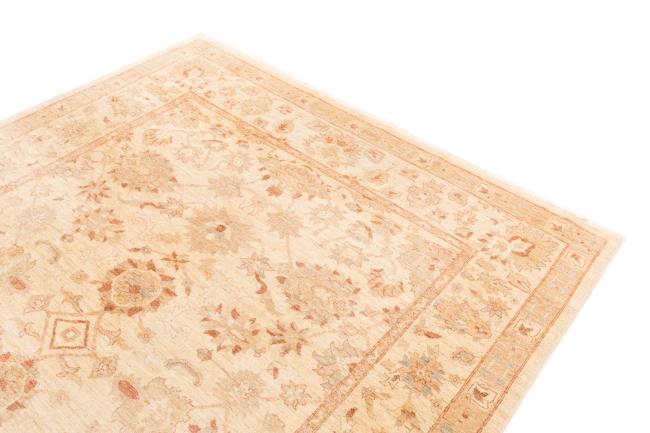 Ziegler Farahan - 3