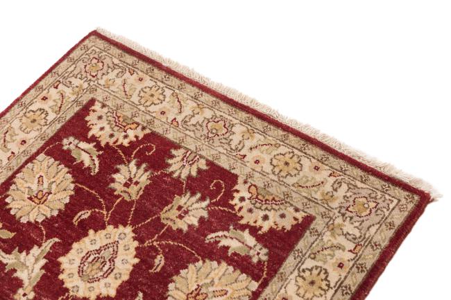 Ziegler Farahan - 3