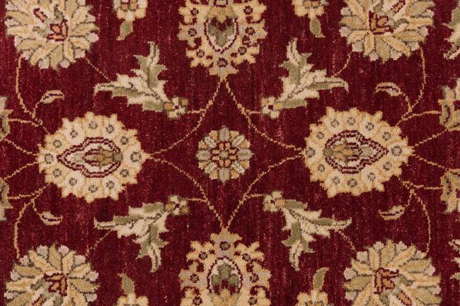 Ziegler Farahan - 6