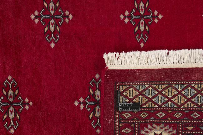 Pakistan Buchara 3ply - 1