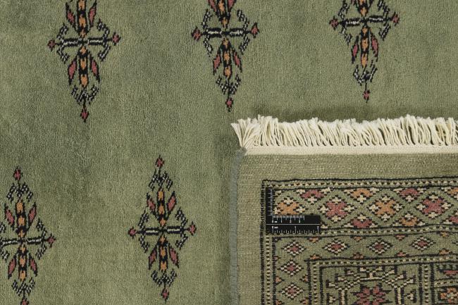 Pakistan Buchara 3ply - 1