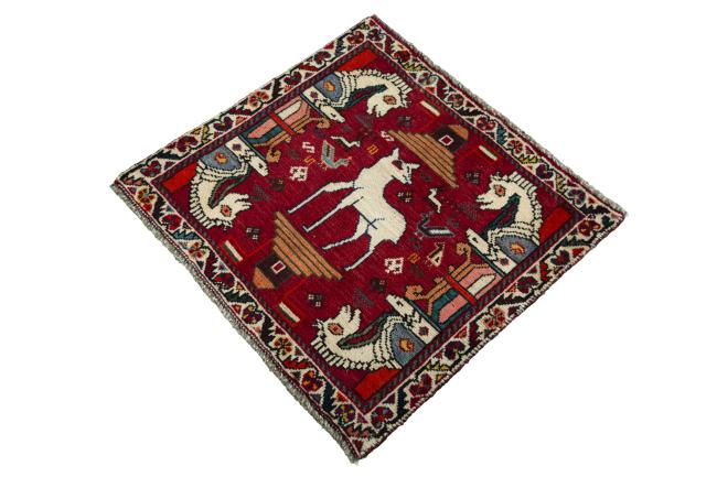 Shiraz - 1