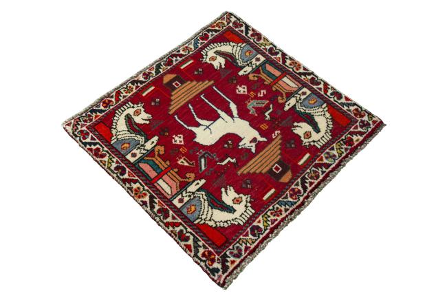 Shiraz - 2