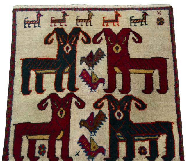 Shiraz - 3