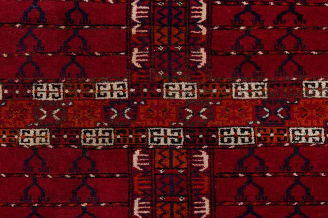 Afghan Mauri - 7
