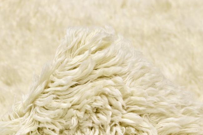 Berber Blanc - 3