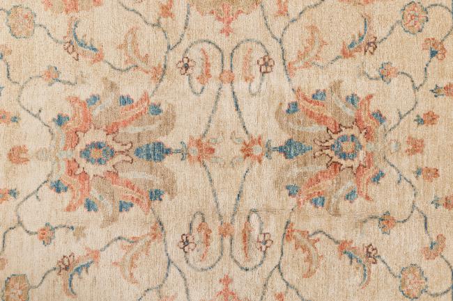 Ziegler Farahan - 6