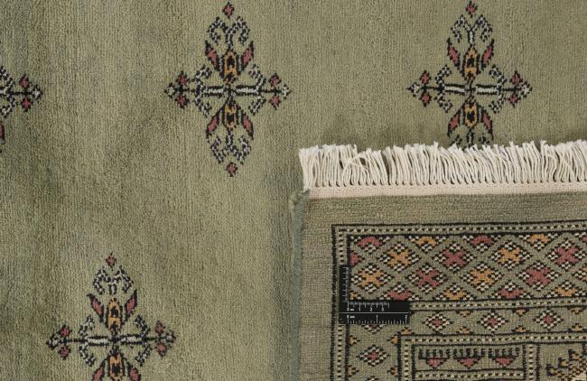 Pakistan Buchara 3ply - 1