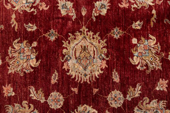 Ziegler ファラハン - 7