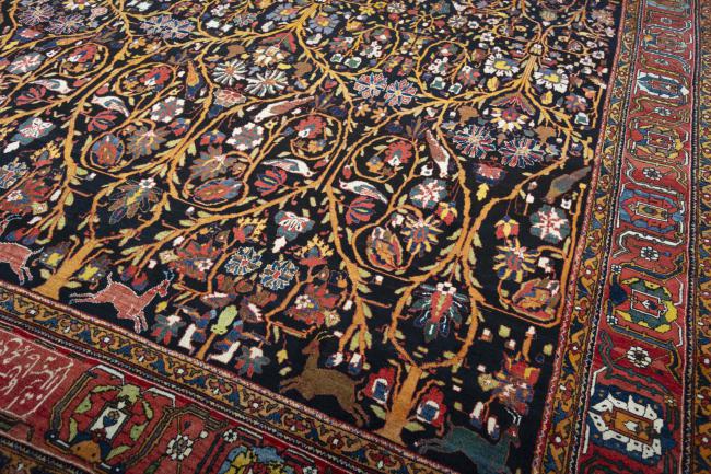 Μπαφτιάρ - 6