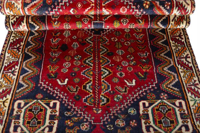 Shiraz - 8