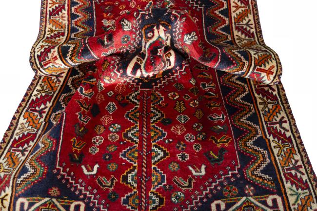 Shiraz - 9