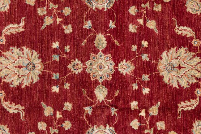 Ziegler Farahan - 7