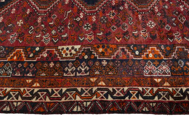 Shiraz - 6