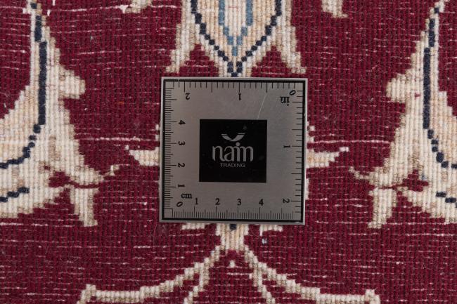 Nain - 5