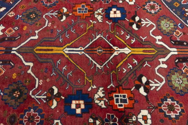 Shiraz - 5