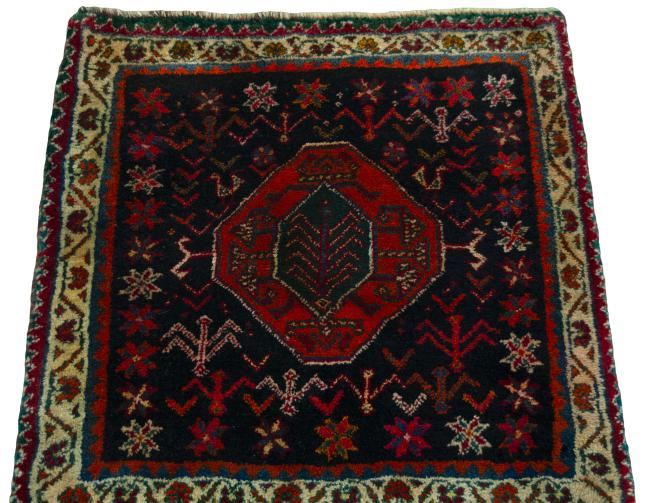 Shiraz - 3