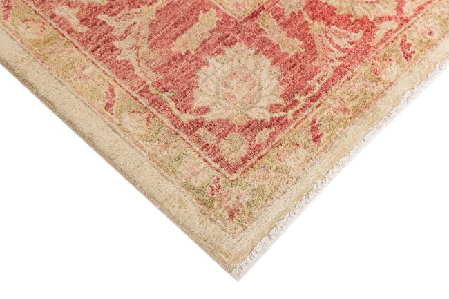 Ziegler Farahan - 5