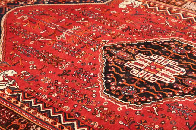 Shiraz - 6
