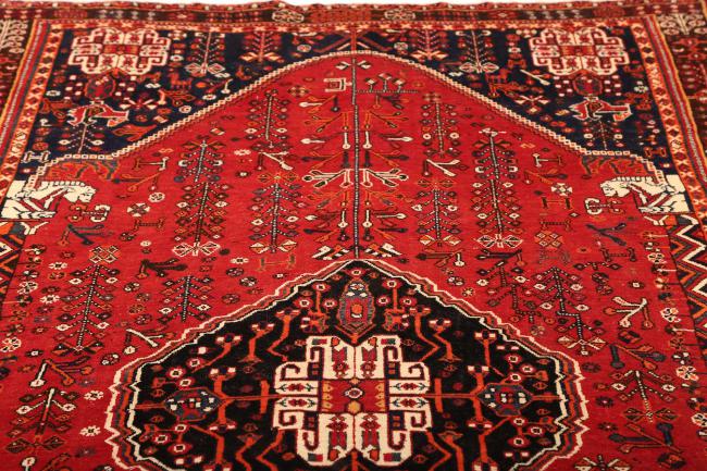 Shiraz - 7