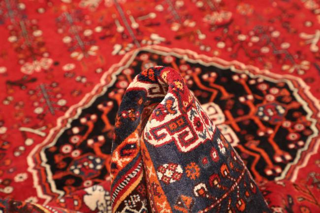 Shiraz - 8