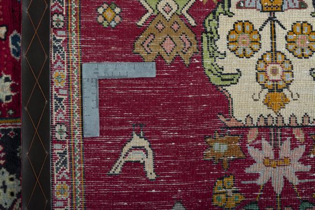 Shiraz - 11
