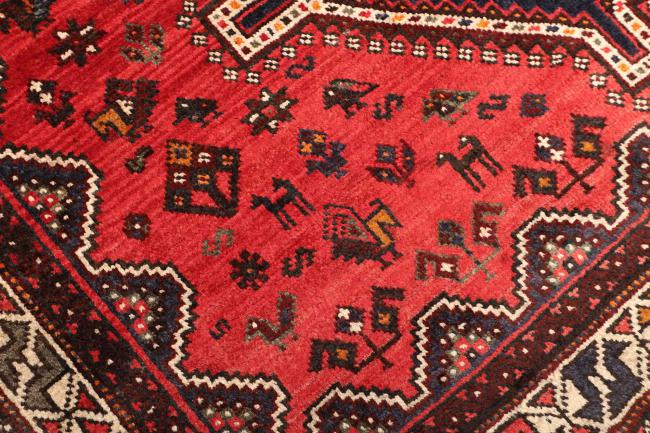 Shiraz - 5