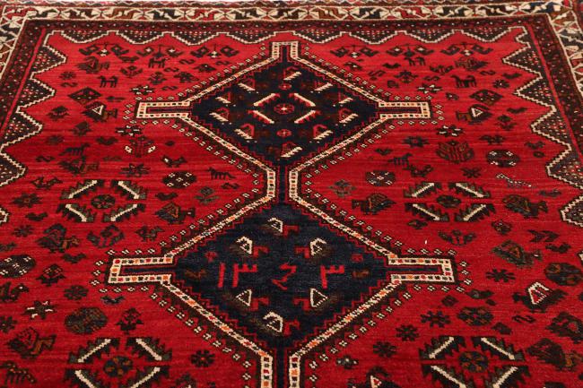 Shiraz - 7