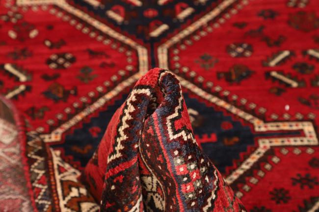 Shiraz - 8